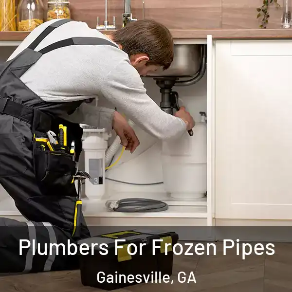  Plumbers For Frozen Pipes Gainesville, GA