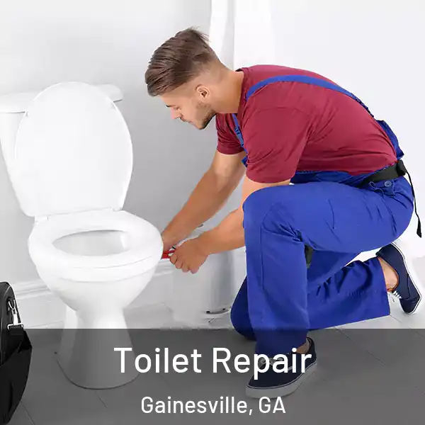  Toilet Repair Gainesville, GA