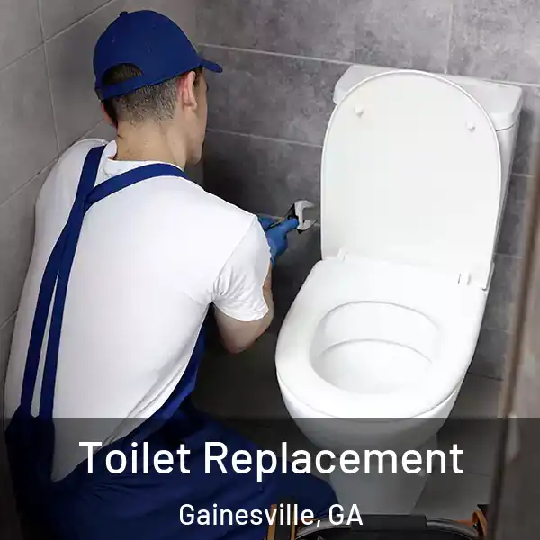  Toilet Replacement Gainesville, GA